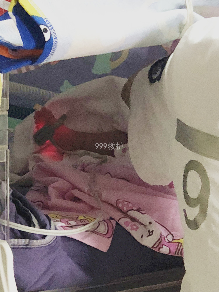 省妇幼转鄂州妇幼NICU